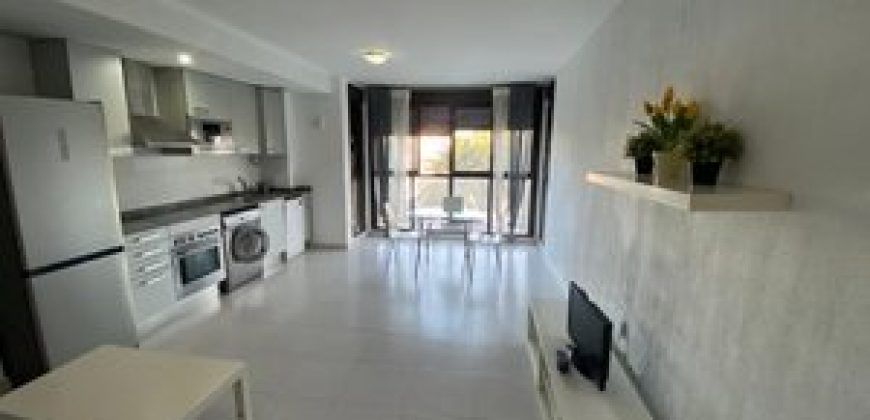 Estudio en Alquiler en la Calle Doctor Lluch 299