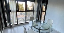 Estudio en Alquiler en la Calle Doctor Lluch 299