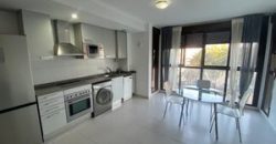 Estudio en Alquiler en la Calle Doctor Lluch 299