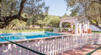 Finca rústica en Diseminados 24, Enguera