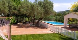Finca rústica en Diseminados 24, Enguera