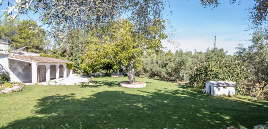 Finca rústica en Diseminados 24, Enguera